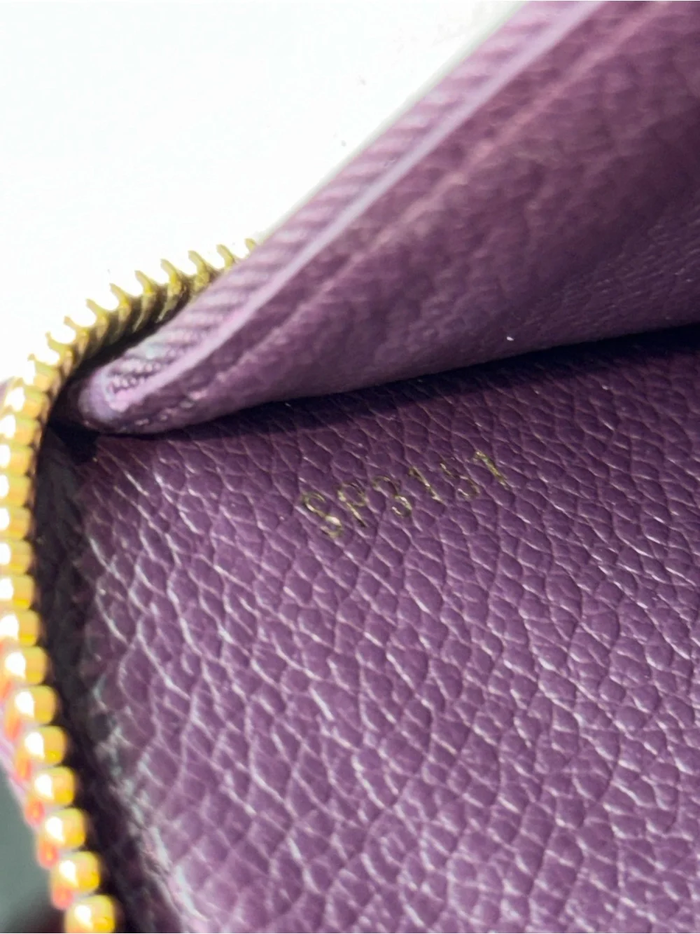 Louis Vuitton large zippy Wallet in Monogram Empreinte leather